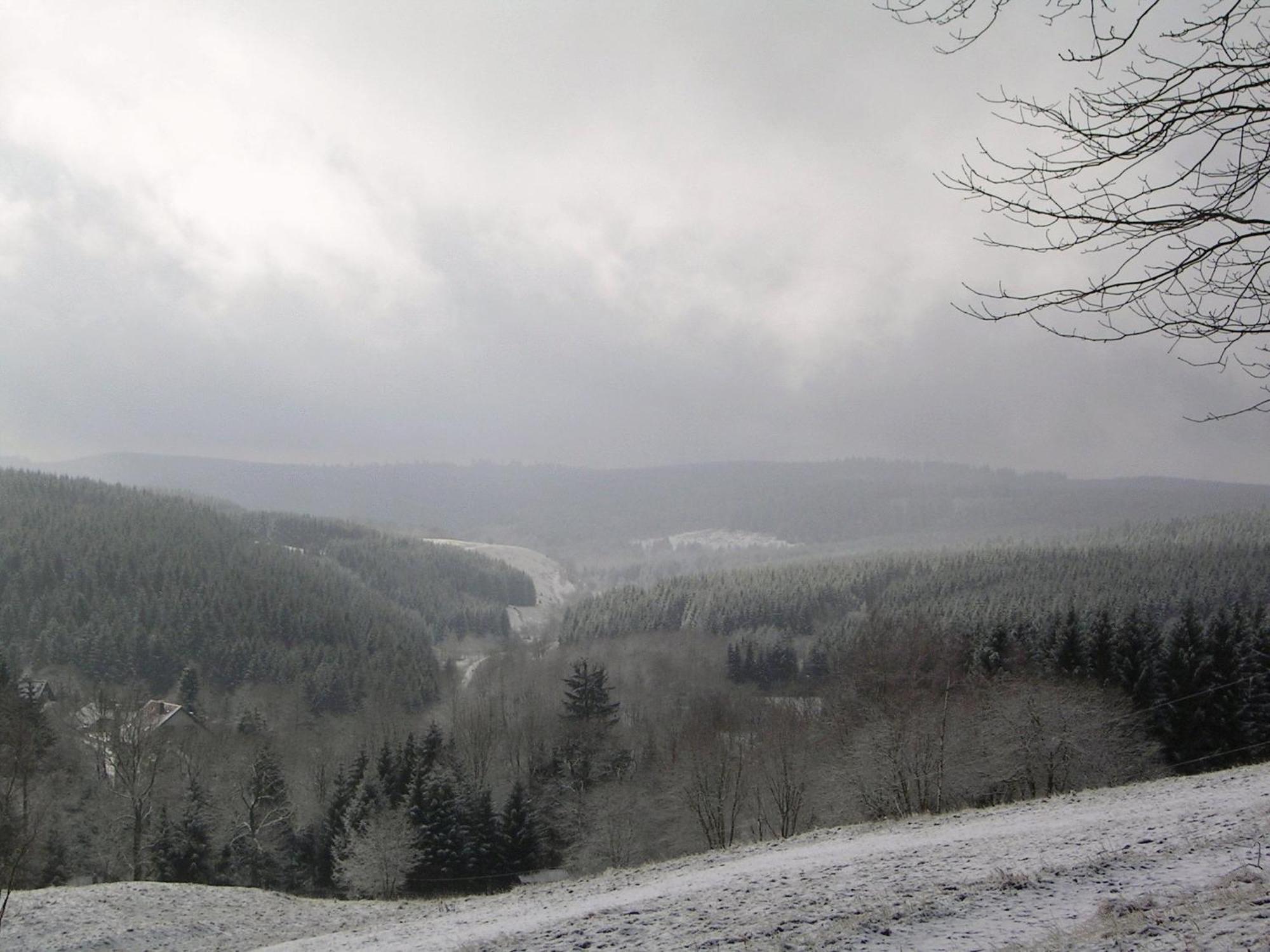 Ferienwohnung Im Harz-Haus-Bruns Clausthal-Zellerfeld Buitenkant foto
