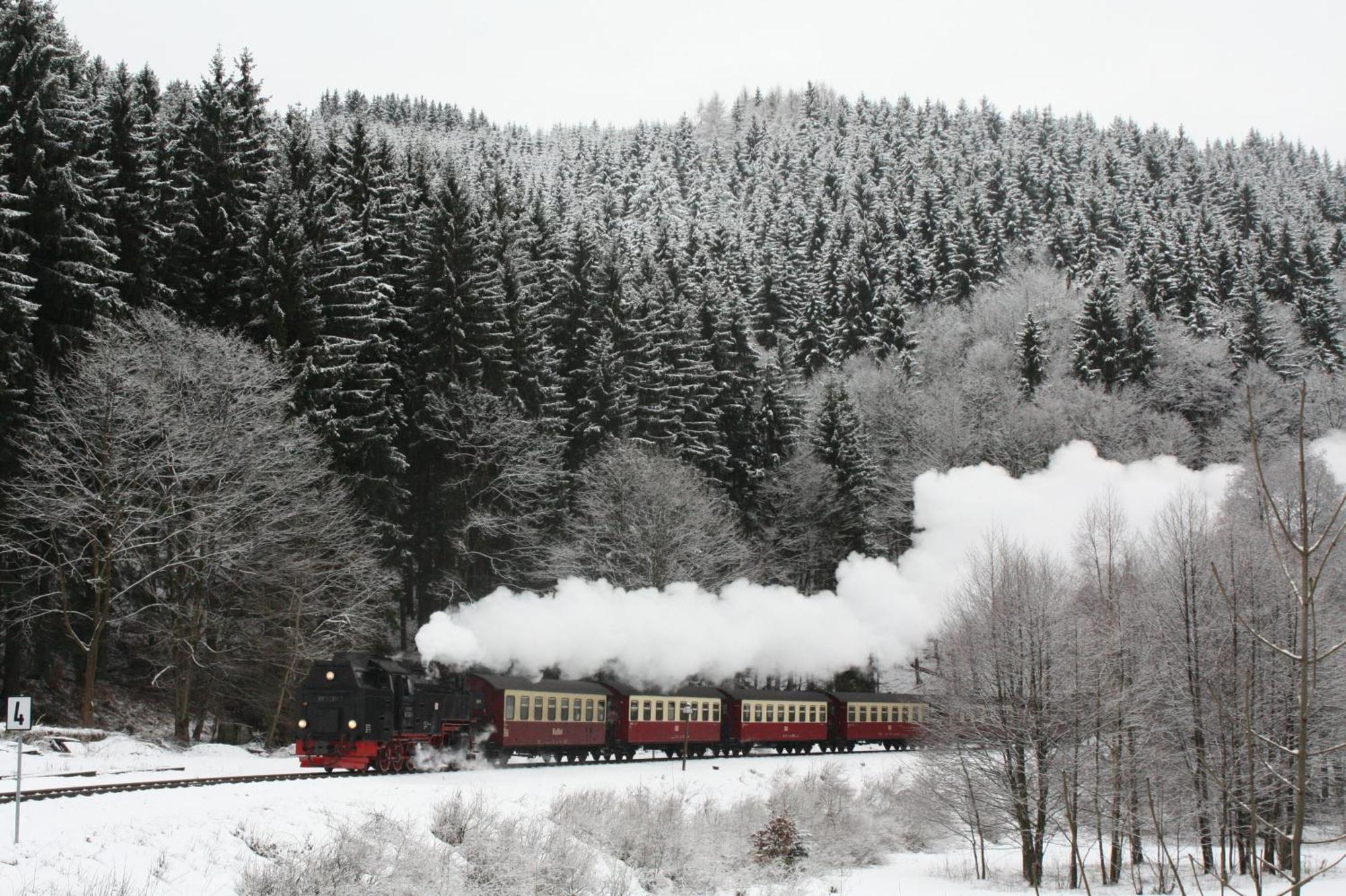 Ferienwohnung Im Harz-Haus-Bruns Clausthal-Zellerfeld Buitenkant foto