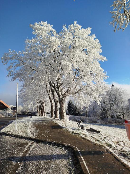 Ferienwohnung Im Harz-Haus-Bruns Clausthal-Zellerfeld Buitenkant foto