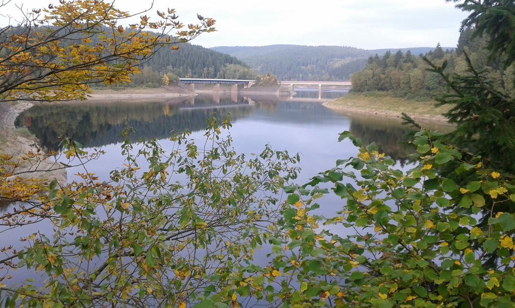 Ferienwohnung Im Harz-Haus-Bruns Clausthal-Zellerfeld Buitenkant foto