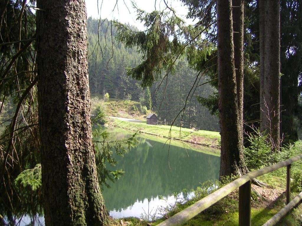 Ferienwohnung Im Harz-Haus-Bruns Clausthal-Zellerfeld Buitenkant foto