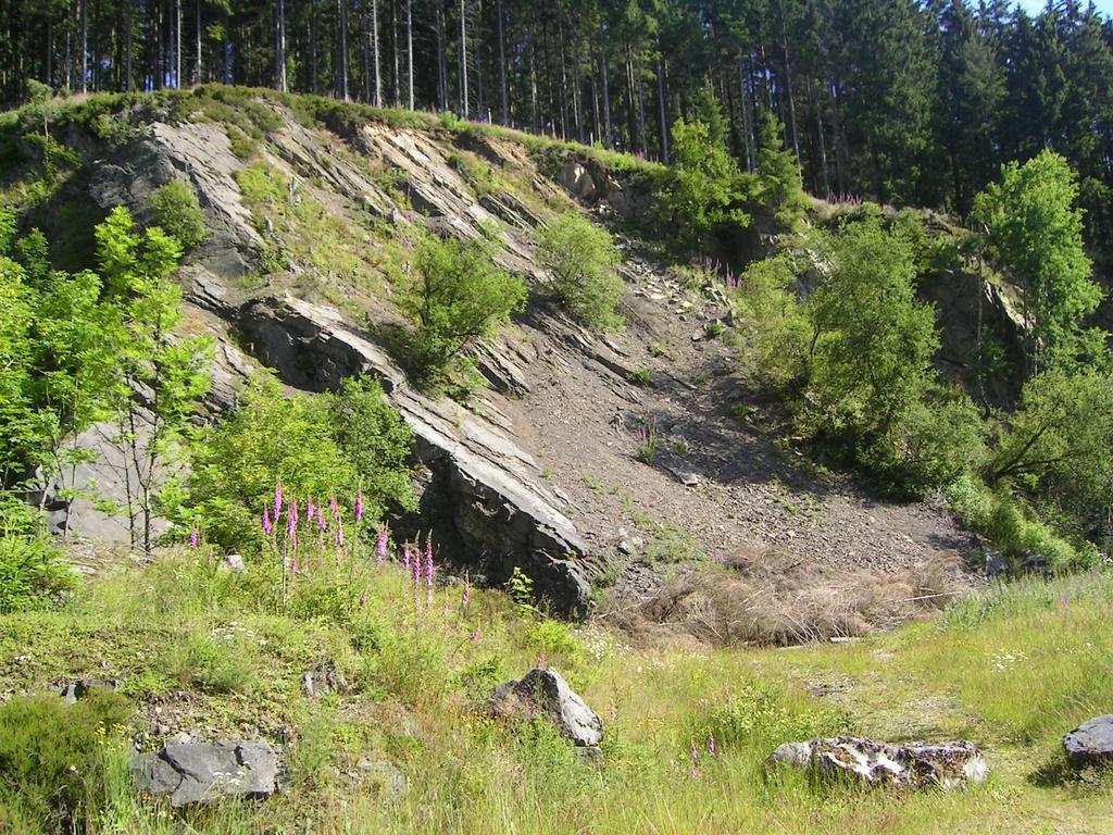 Ferienwohnung Im Harz-Haus-Bruns Clausthal-Zellerfeld Buitenkant foto